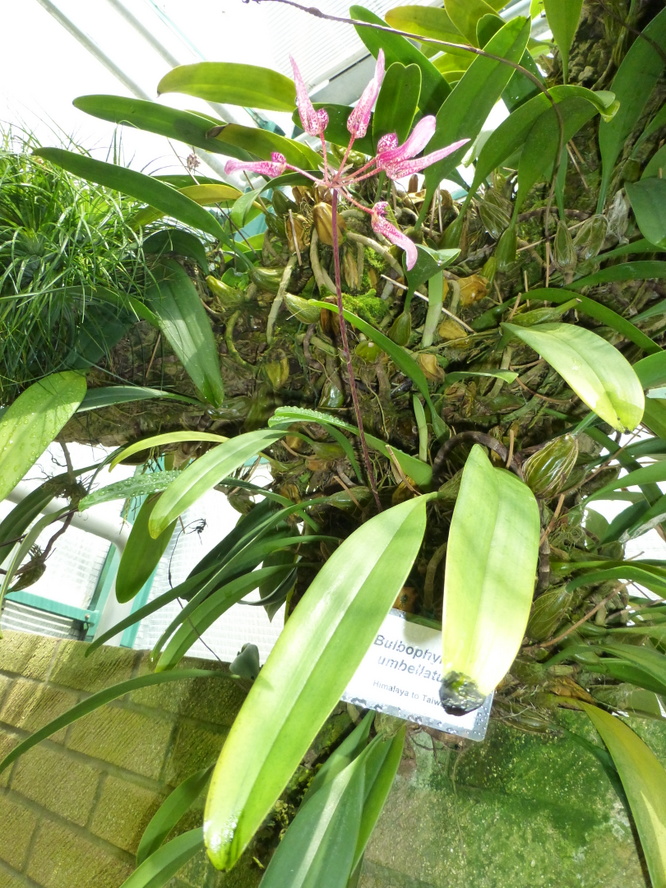 P1040259