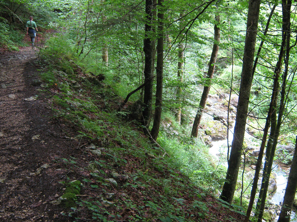 2011-0708-302